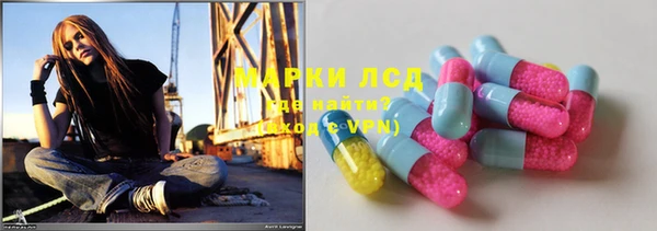 гидропоника Каменка