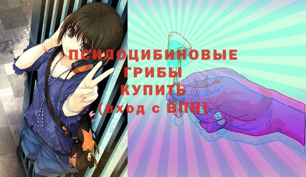 прущая мука Каменногорск