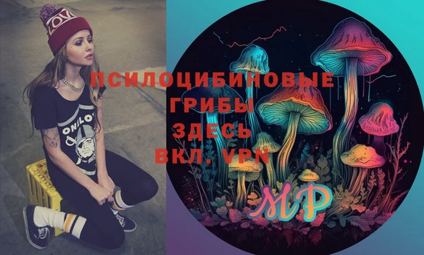 прущая мука Каменногорск