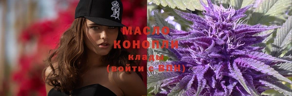 гидропоника Каменка