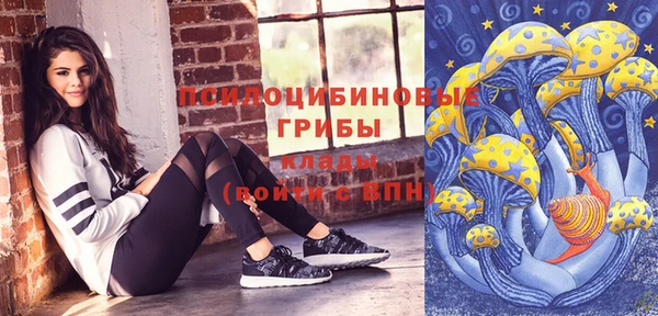 прущая мука Каменногорск