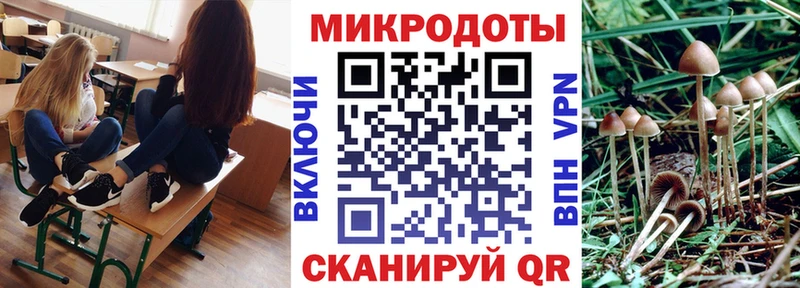 Псилоцибиновые грибы прущие грибы  Купить где  Дубна 